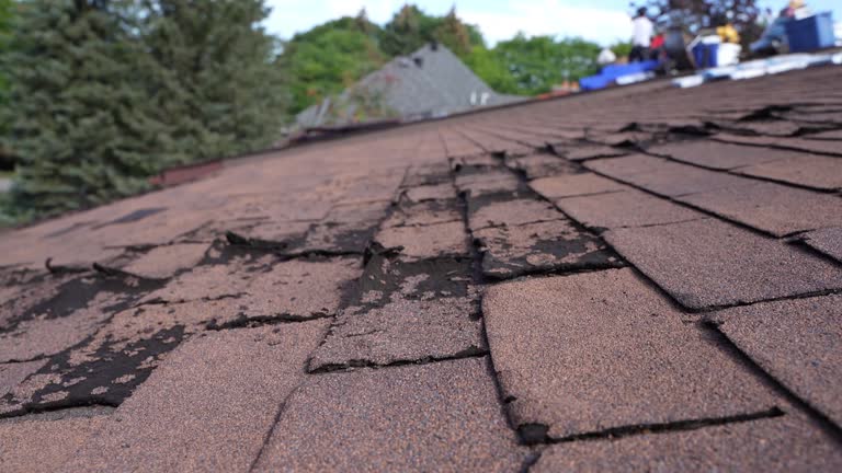Reliable Albertson, NY Roofing Solutions