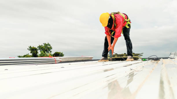 Best Roof Waterproofing  in Albertson, NY